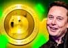 Top-Krypto-Trader über Dogecoin „Etwas ist im Gange, und ich habe das Gefühl, dass es mit Elon zu tun hat“