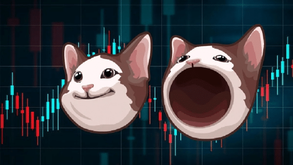 3 Meme-Coins, die im Jahr 2025 potenziell Gewinne bringen könnten - Shiba Shootout, POPCAT und Dogecoin