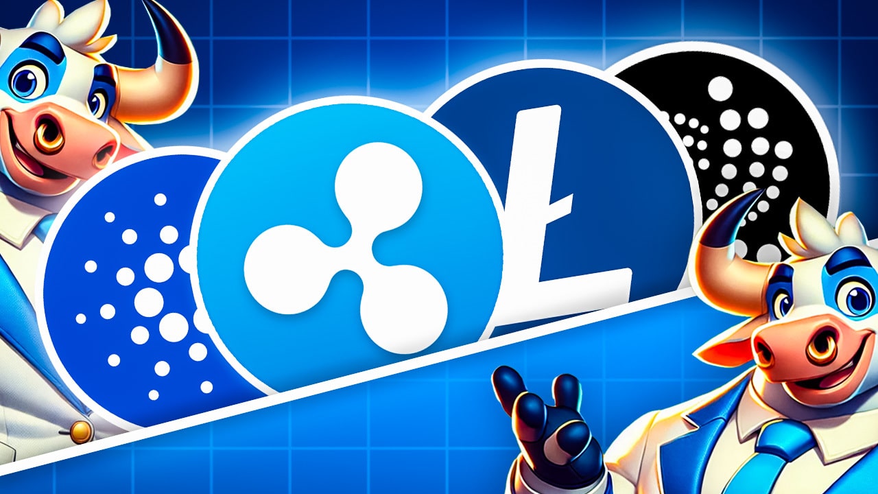 XRP, Litecoin, Cardano & IOTA: Altcoins explodieren! Jetzt beginnt die  „Altcoin Season“: In welche Coins investieren 2024?