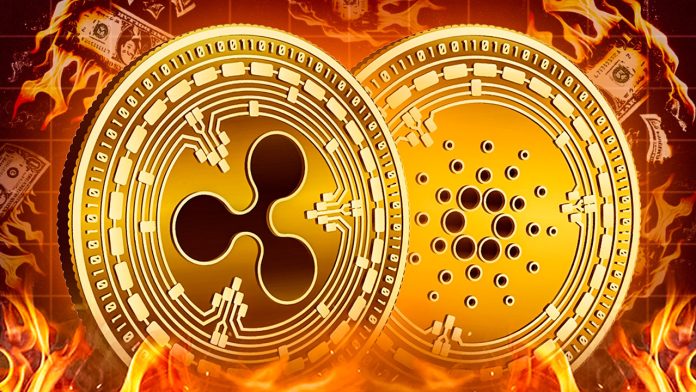 Krypto News Mega-Ausverkauf bei Ripples XRP und Cardano – Krypto-Wale steigen aus! Beginnt jetzt der Kollaps?