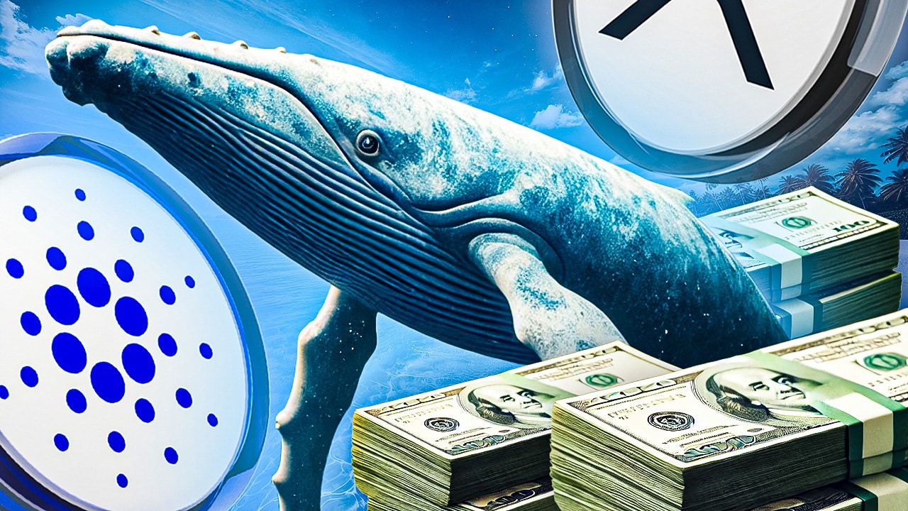 Krypto News: In nur 24h! Wale kaufen 1 Milliarde XRP, 420 Mio. ADA –  Prognose: Einsteigen – lohnt sich das jetzt noch?