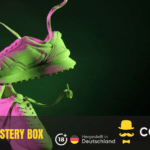 Das sind Sneaker Mystery Boxen zum Kaufen