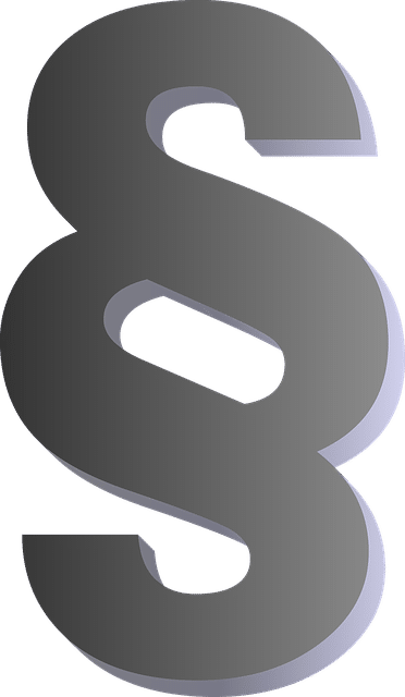 Gesetz Icon