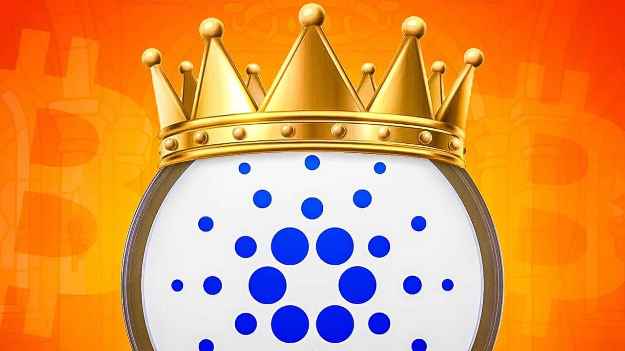 Krypto News: Das ändert alles! Bitcoin goes Cardano (ADA) – neues Feature  vernetzt die Blockchains! „Cardano wird der König sein“
