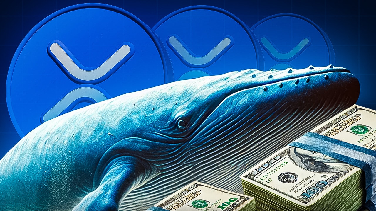 Ripple News: „Angebots-Schock kommt“! Wale ziehen XRP für 5,5 Mrd. Dollar  von Kryptobörsen ab – Analysten fassungslos! Jetzt kaufen?