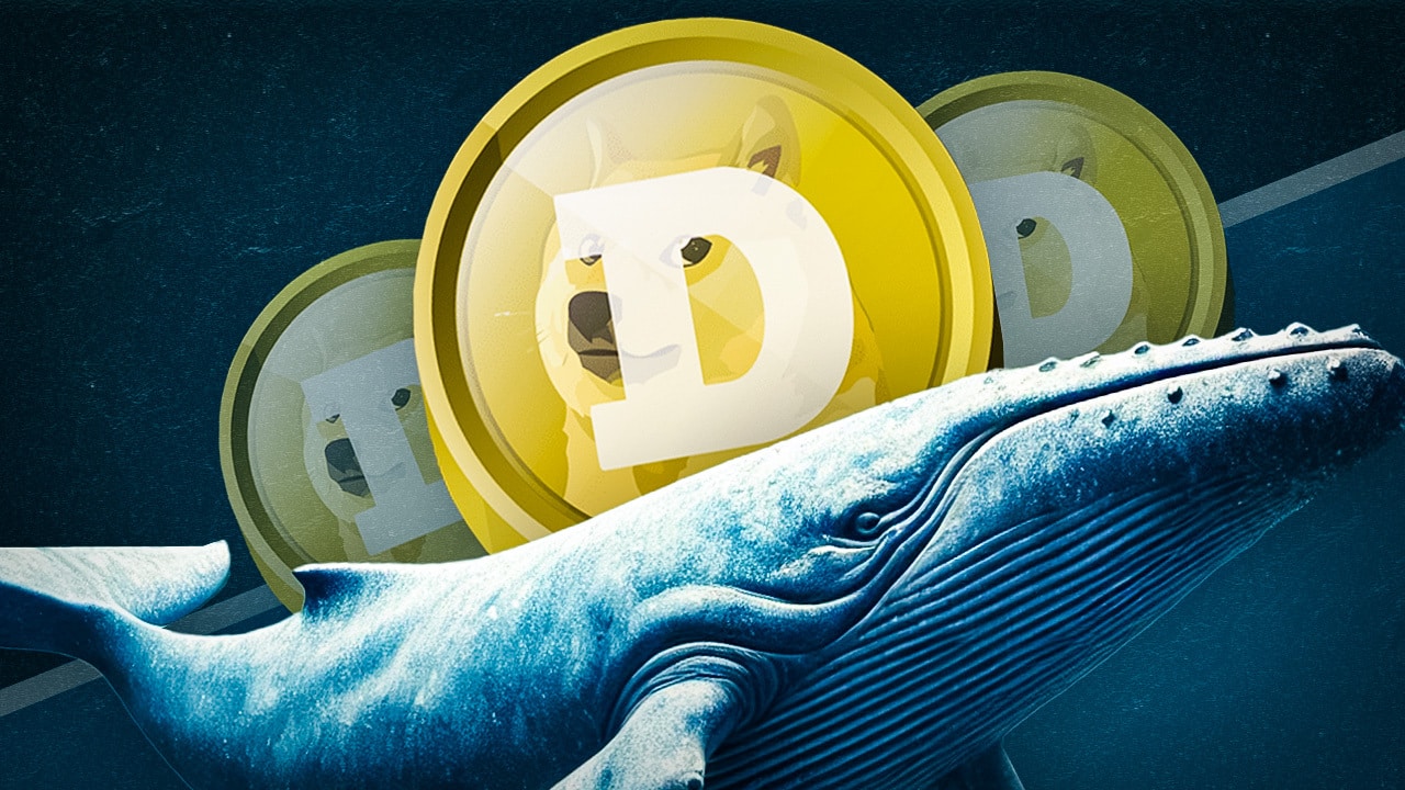 Krypto-Wale haben über Nacht 130 Millionen Dogecoin (DOGE) akkumuliert – sollte  man jetzt ebenfalls Memecoins kaufen?