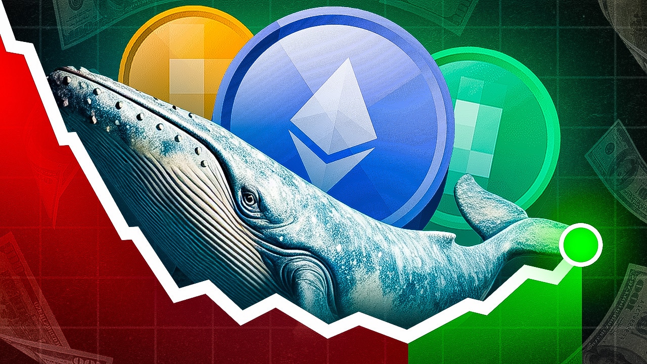 Marktforschung zeigt: Während die Kurse fallen, legen Krypto-Wale den Fokus  auf 4 bestimmte Coins – und kaufen ohne Ende