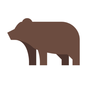 bear icon