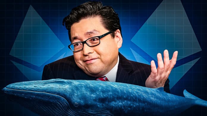Ethereum Prognose „Wale kaufen ETH wie nie zuvor in der Geschichte“ – ETH-Guru Tom Lee nennt Jahres-Endkurs 2025