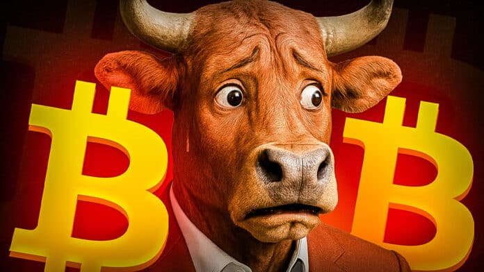 Top-Analyst sagt voraus „Der Bullrun endet in 40 Tagen“ – mit einer „Q4 Explosion“! Was bringt der „finale Push“?