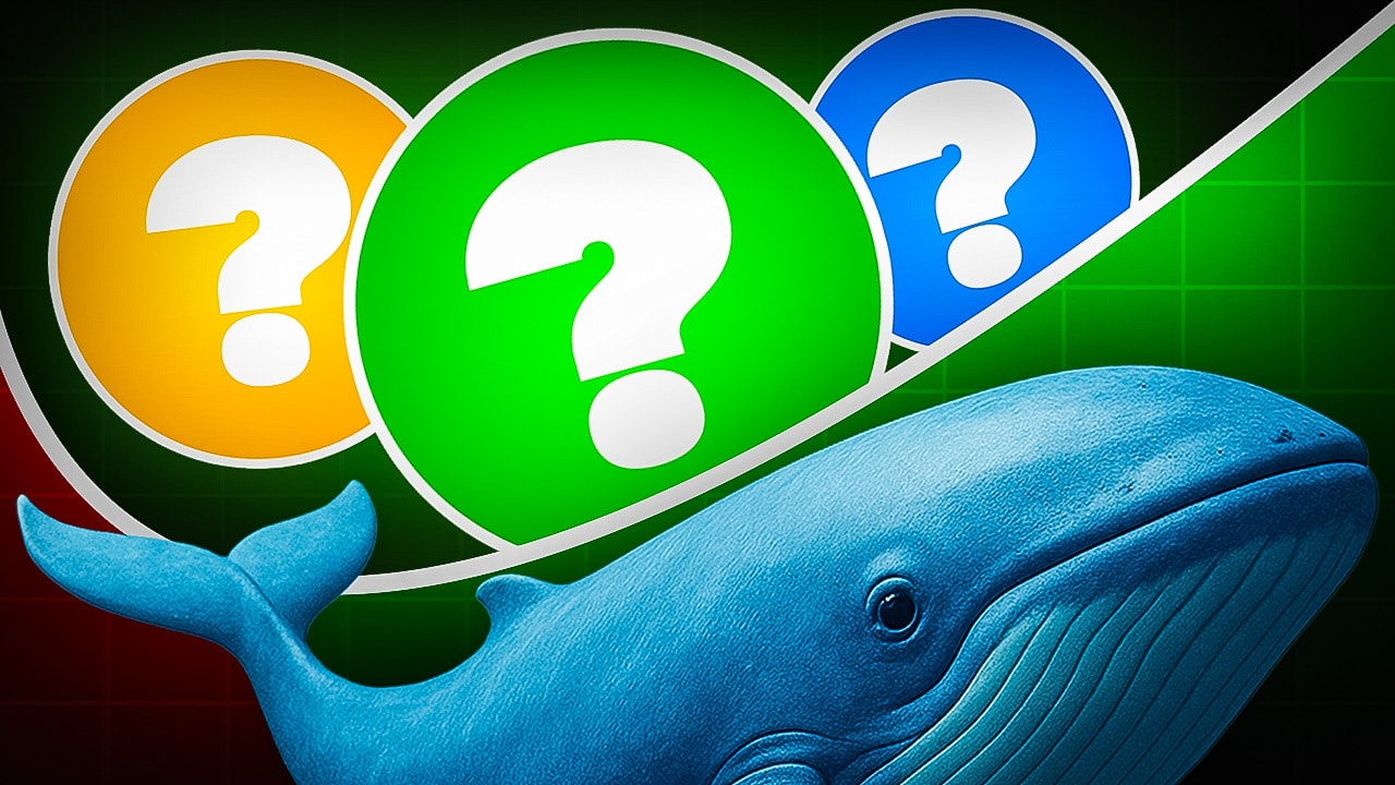 Mehr als 3 Milliarden Dollar! Mitten im Krypto Crash: Wale kaufen, kaufen,  kaufen – das sind ihre Lieblings-Coins