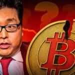Krypto Crash erklärt! Fundstrat-Chef Tom Lee ($250 Mio. schwer) enthüllt Wer steckt wirklich hinter der brutalen Korrektur?