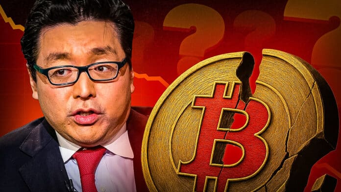 Krypto Crash erklärt! Fundstrat-Chef Tom Lee ($250 Mio. schwer) enthüllt Wer steckt wirklich hinter der brutalen Korrektur?