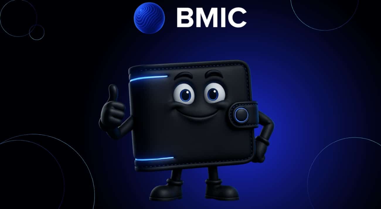 BMIC On-Chain-Aktivität