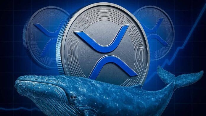 Nachfrage explodiert Ripple Wale shoppen XRP für fast $1 Milliarde – Mega-Comeback in 2026?