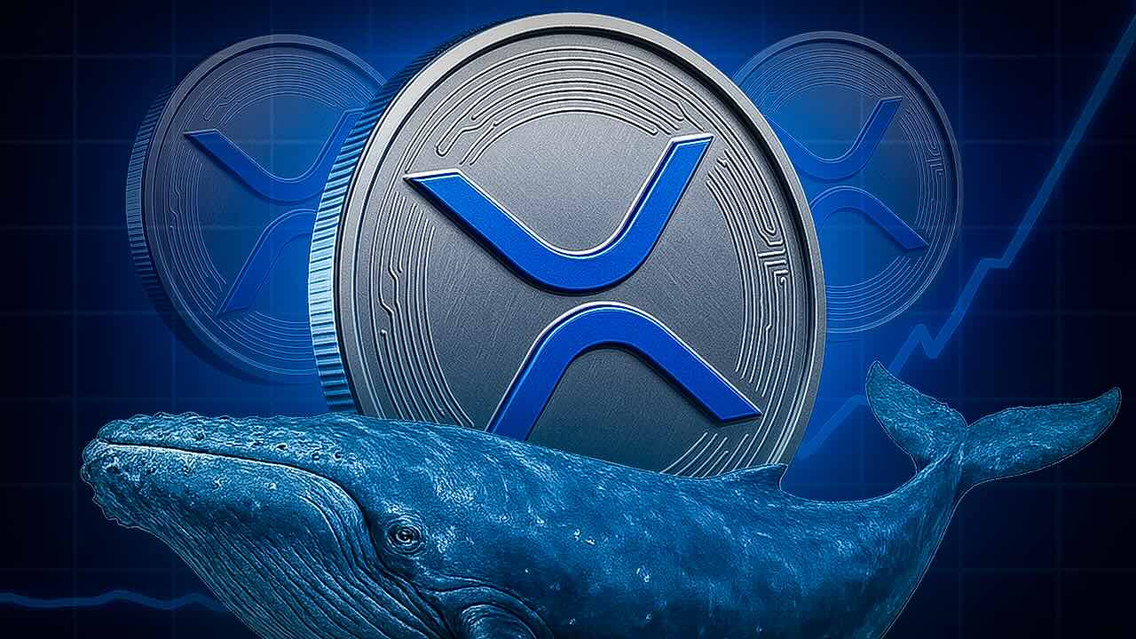 Ripple-Stablecoin auf Allzeithoch: Was die Zahlen noch verraten