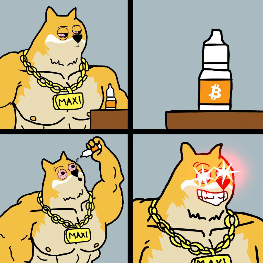 Dogecoin Prognose 2026 bis 2040 mit Maxi Doge Presale Trend