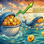 Ethereum-Wale Wallets