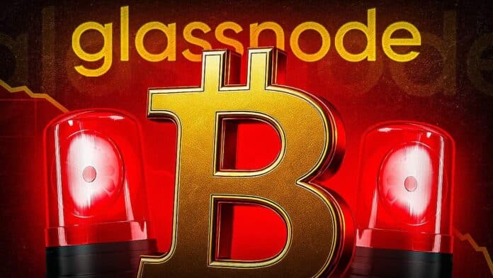 Krypto News Großanleger kaufen, Kleinanleger fliehen! Glassnode-Analyse zeigt Wie bearish ist die Lage wirklich?