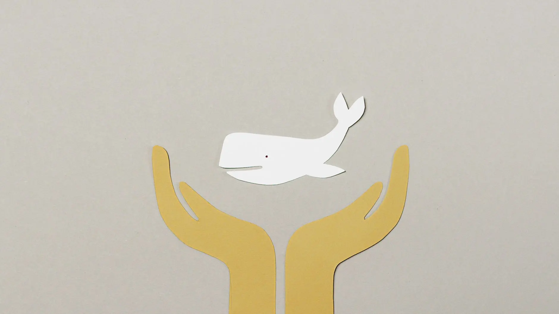 A white whale held between two stylized yellow hands on a light gray background.